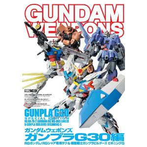 ガンダムウェポンズ ガンプラG30編 RGガンダム/RGシャア専用ザク＆模型戦士ガンプラビルダーズ ビギニングG