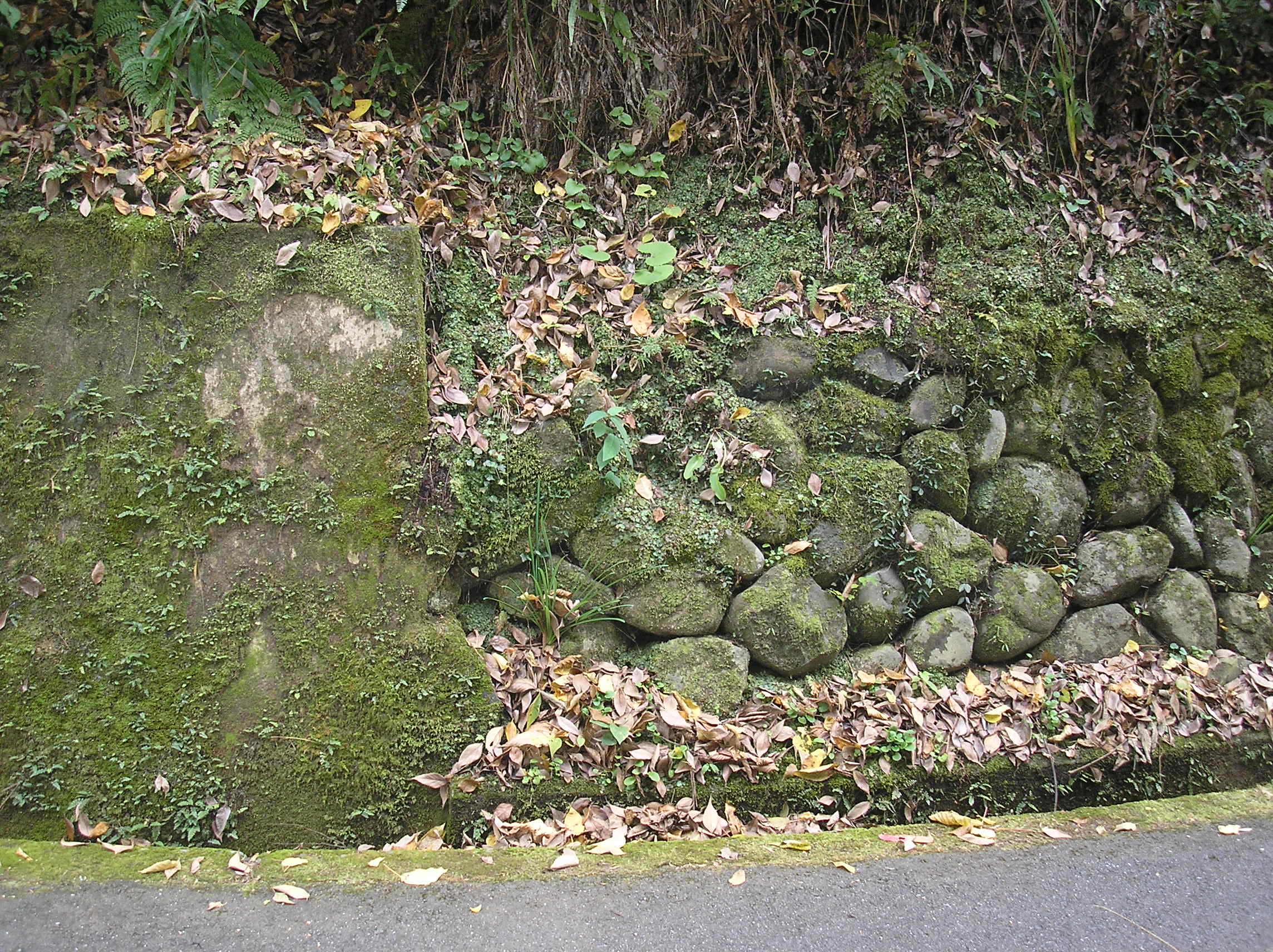 ジオラマ風景サンプル画像/コンクリート擁壁の苔（こけ）