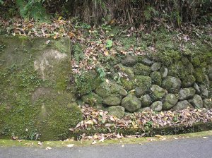 WI}iTv摜/RN[giǂ̑ہij