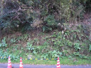 ジオラマ風景サンプル画像/草/斜面の草