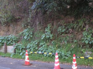 ジオラマ風景サンプル画像/草/斜面の草