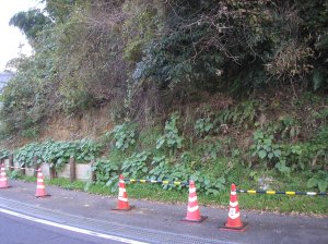 ジオラマ風景サンプル画像/草/斜面の草