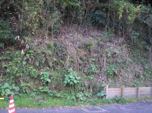 ジオラマ風景サンプル画像/草/斜面の草