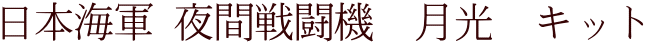 日本海軍 夜間戦闘機　月光　キット