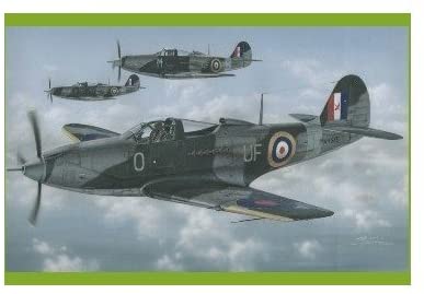 Special Hobby Airacobra Mk I/P39F RAF/RAAF Service Fighter (1/32 Scale) おもちゃ [並行輸入品]