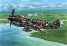 スペシャルホビー 1/72 アメリカ陸軍航空軍 カーチスP-40Eウォーホーク戦闘機 シャークマウス&鷲 プラモデル SH72338
