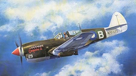 イタレリ 2658S 1/48 P-40 M/N キティホーク Mk.IV (タミヤ・イタレリシリーズ:38658)