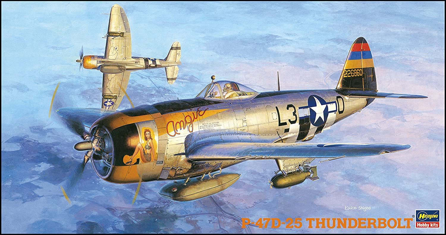 ハセガワ 1/48 アメリカ陸軍 P-47D-25 サンダーボルト プラモデル JT40