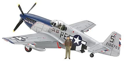 タミヤ 92216 1/48 ノースアメリカン P-51B マスタング ブルーノーズ ブンカ流通限定