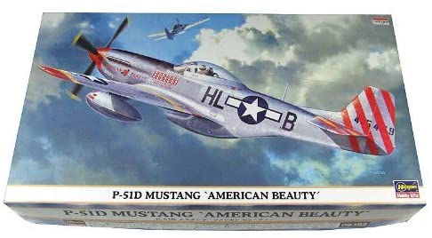 P-51D ムスタング　’アメリカン　ビューティー’ 1:48　P51D MUSTANG 'AMERICAN BEAUTY'
