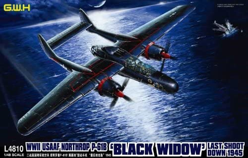 EDU32770 1:32 Eduard Color PE - P-61 Black Widow Seatbelts Set (for the HobbyBoss model kit) by Eduard [並行輸入品]