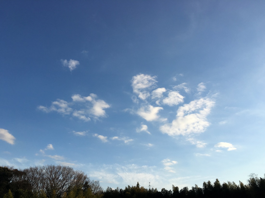 空2016/01/09E　定点観測