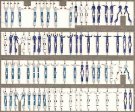 精密　1/350　アメリカ海軍乗組員　７５体入　２つ折立体タイプ　PE-513